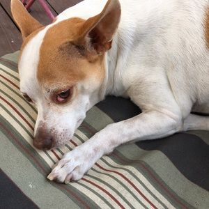 Meet your Posher, Kirsten